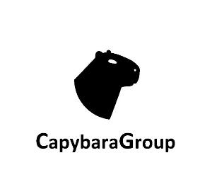 CapybaraGroup - реклама в Ноябрьске - Город Ноябрьск